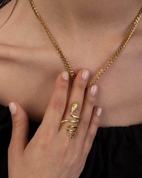 Bond 012 Chain in combination with Snake Ring at Gold Vermeil